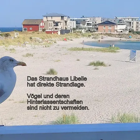 Strandhaus Libelle - Direkt Am Der Ostsee Ferienhaus